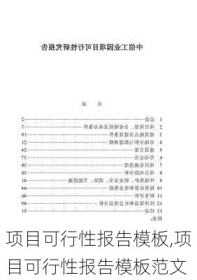 项目可行性报告模板,项目可行性报告模板范文