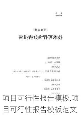 项目可行性报告模板,项目可行性报告模板范文