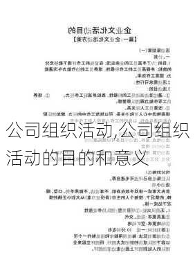 公司组织活动,公司组织活动的目的和意义