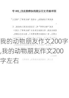 我的动物朋友作文200字,我的动物朋友作文200字左右