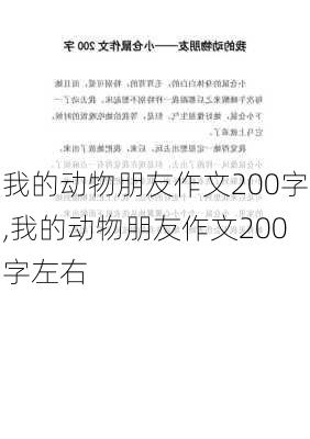 我的动物朋友作文200字,我的动物朋友作文200字左右