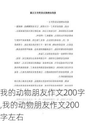 我的动物朋友作文200字,我的动物朋友作文200字左右