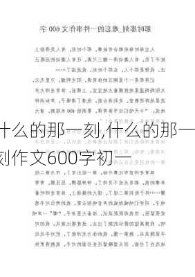 什么的那一刻,什么的那一刻作文600字初一