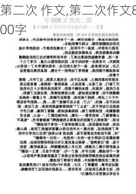 第二次 作文,第二次作文800字