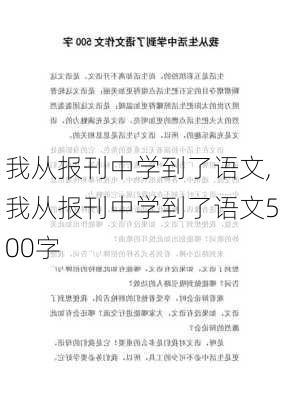 我从报刊中学到了语文,我从报刊中学到了语文500字