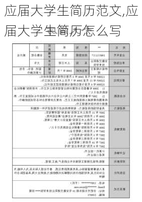 应届大学生简历范文,应届大学生简历怎么写