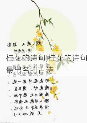 桂花的诗句,桂花的诗句最出名的古诗