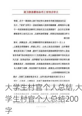 大学生村官个人总结,大学生村官个人总结200字