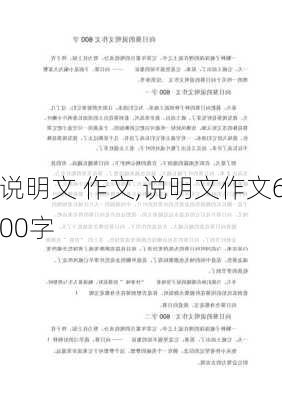 说明文 作文,说明文作文600字