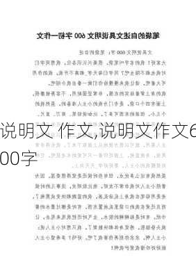 说明文 作文,说明文作文600字