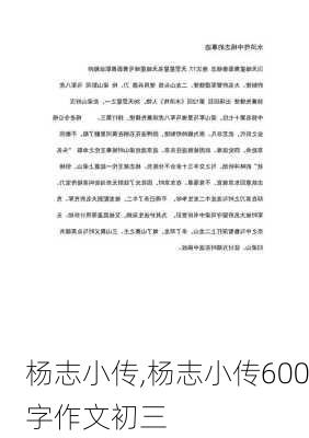 杨志小传,杨志小传600字作文初三