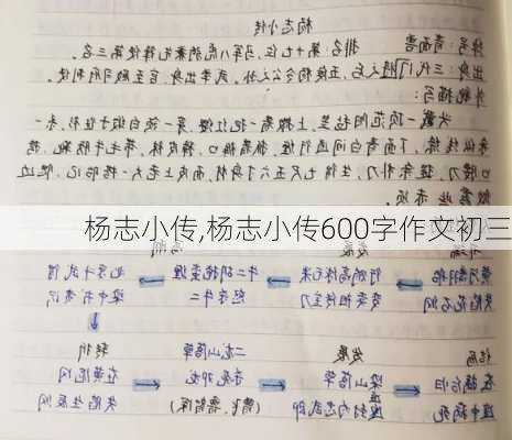 杨志小传,杨志小传600字作文初三