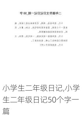 小学生二年级日记,小学生二年级日记50个字一篇