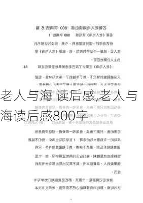 老人与海 读后感,老人与海读后感800字