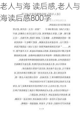 老人与海 读后感,老人与海读后感800字