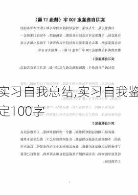 实习自我总结,实习自我鉴定100字