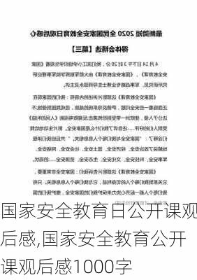 国家安全教育日公开课观后感,国家安全教育公开课观后感1000字