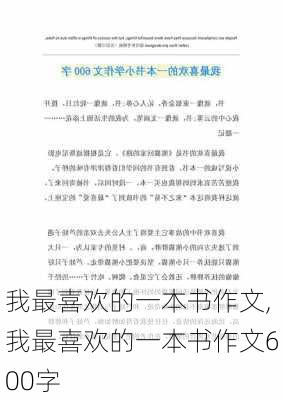 我最喜欢的一本书作文,我最喜欢的一本书作文600字