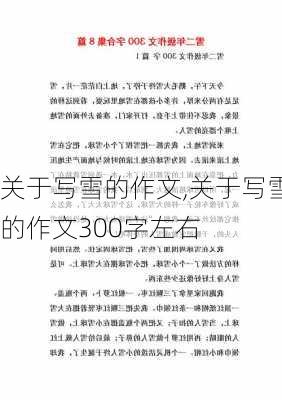 关于写雪的作文,关于写雪的作文300字左右