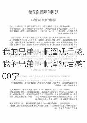 我的兄弟叫顺溜观后感,我的兄弟叫顺溜观后感100字