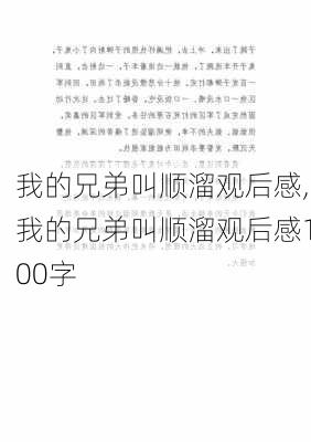 我的兄弟叫顺溜观后感,我的兄弟叫顺溜观后感100字