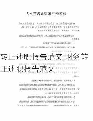 转正述职报告范文,财务转正述职报告范文