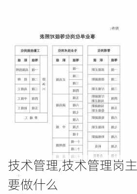 技术管理,技术管理岗主要做什么