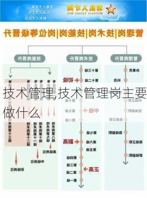 技术管理,技术管理岗主要做什么